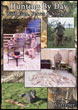 Hunting By Day